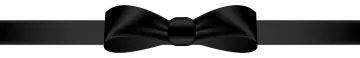a black bow on a white background