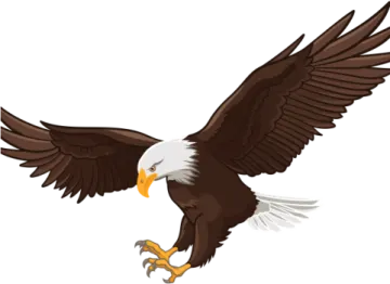 an eagle flying with its wings spread