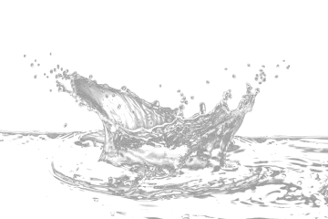 a splash of water on a white background