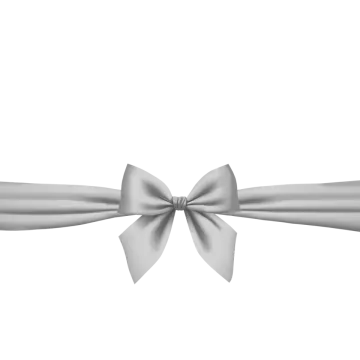a silver bow on a white background