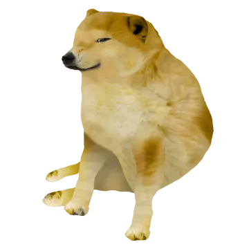 a dog is sitting on its hinds