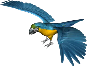 a blue and yellow parrot flying in the air
