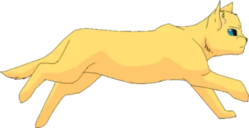 a yellow cat with blue eyes