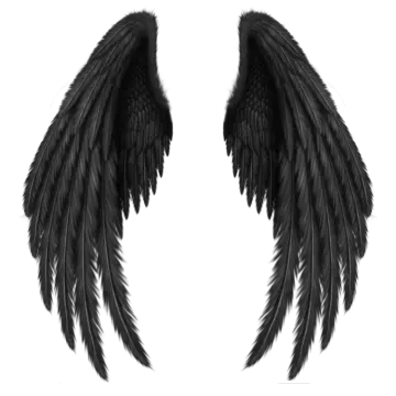 two black wings on a white background