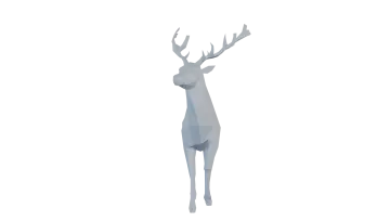 a deer standing on a white background