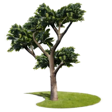 a tree with green leaves on a white background