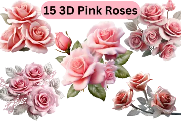 15 pink roses transparent png