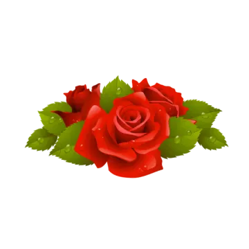 a bouquet of red roses with green leaves