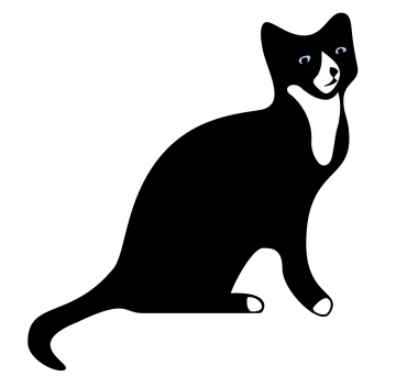 a black cat silhouetted on a white background