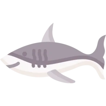 an illustration of a killer whale