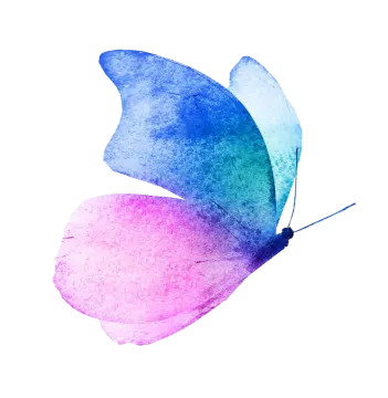 a watercolor butterfly on a white background