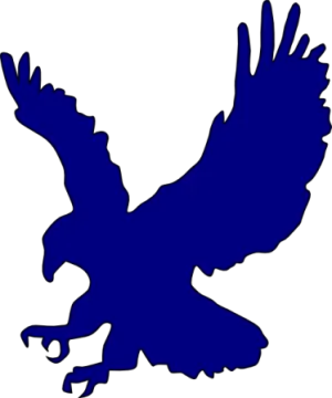 an eagle flying in the air