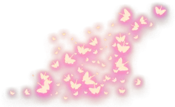 a white background with pink and yellow butterflies