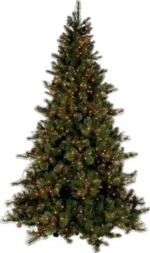 a christmas tree with lights on it