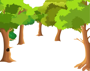 a row of trees with green leaves