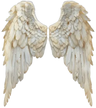 two white wings on a white background