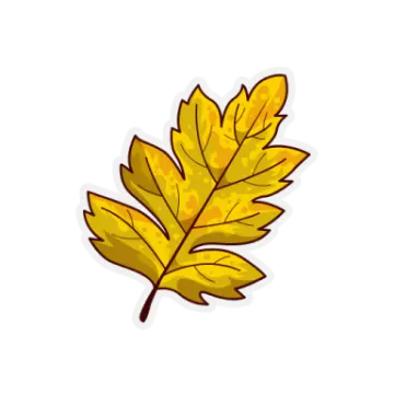 a yellow leaf with brown spots
