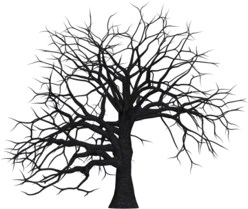 a black tree with no leaves on it