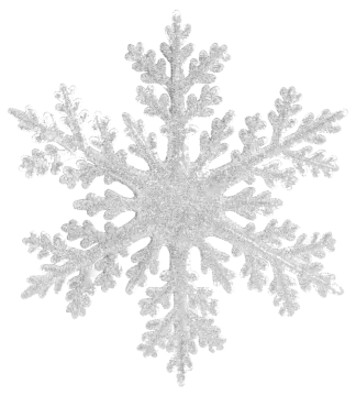 a silver snowflake on a white background