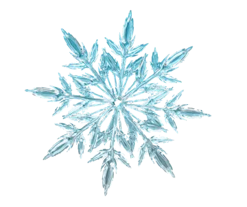 an image of a snowflorer