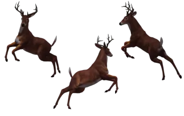 a set of three deers running in the air