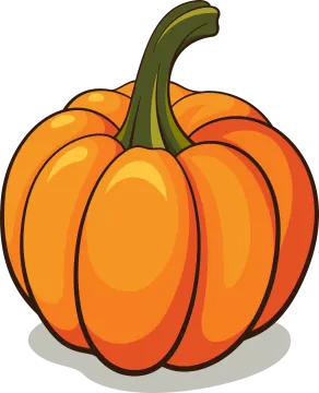 an orange pumpkin on a white background
