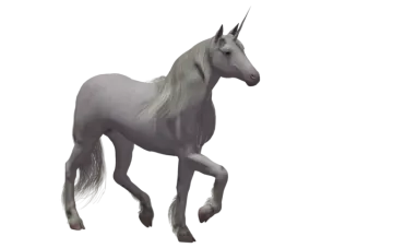 a white unicorn with long hair and a black mane