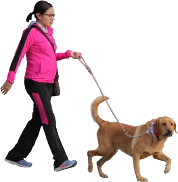 a woman walking a dog