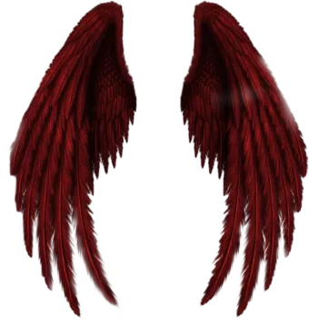 two red wings on a white background