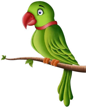 a green parrot sitting on a branch