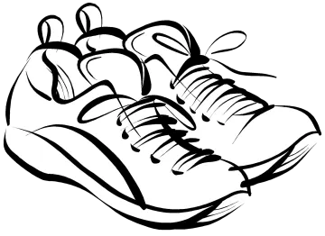 a pair of shoes on a white background