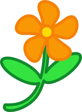 an orange flower with green leaves