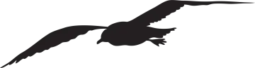 a black and white silhouette of a bird