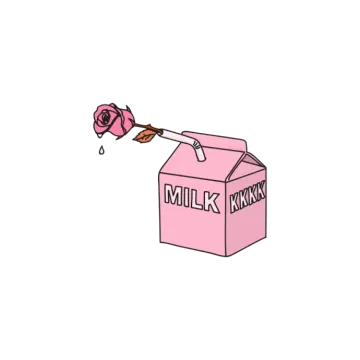 a pink box with a rose in it