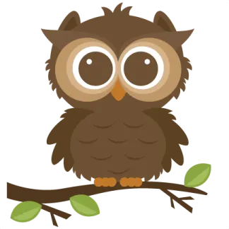 a brown owl sitting on a branch