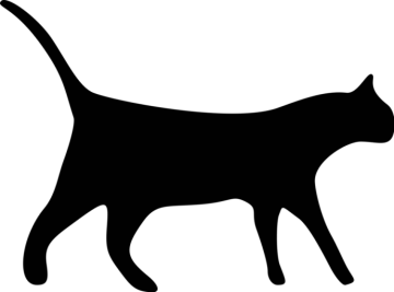 a black cat silhouetted on a white background
