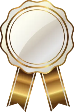 a gold medal with a white background