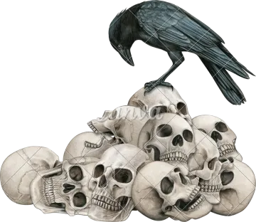 a crow sitting on top of a pile of skulls