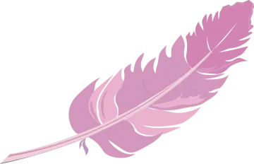 a pink feather on a white background