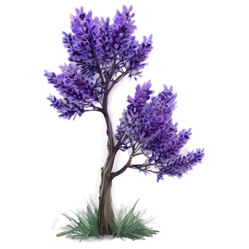 a purple flower tree on a white background