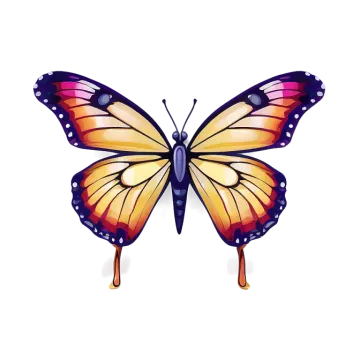 a colorful butterfly on a white background