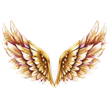 a pair of golden wings on a white background