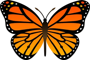 a butterfly clipart