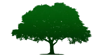 a silhouette of a tree with green leaves