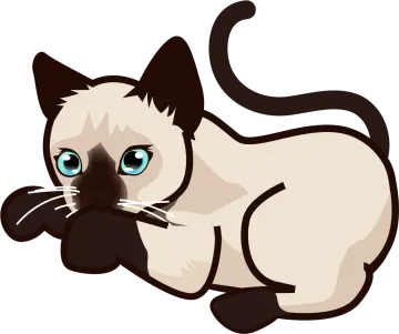 a siam cat with blue eyes
