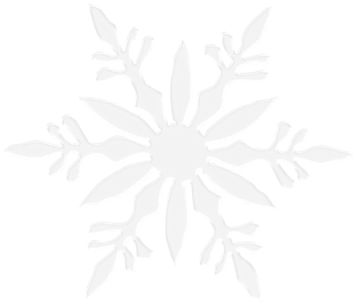 a white snowflorer on a gray background