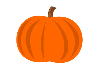 a pumpkin on a white background