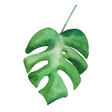 a watercolor painting of a green leaf
