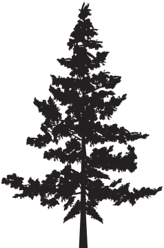 a black and white silhouette of a tree