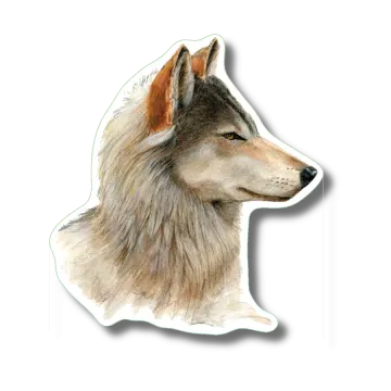 a drawing of a wolf's head